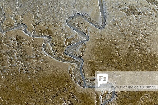 Aerial view of stream running through tidal mudflat at the Schleswig-Holstein Wadden Sea National Park  Germany  Europe