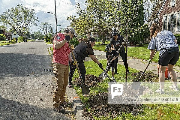 Detroit  Michigan  Freiwillige von Greening of Detroit und der Morningside Community Organization pflanzen Bäume im Osten von Detroit