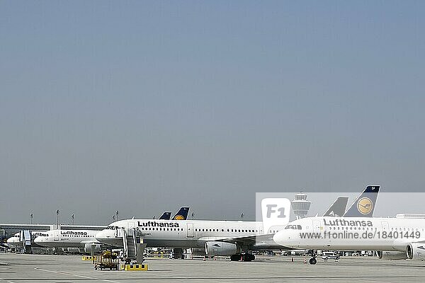 Parkende Lufthansa Flugzeuge auf dem Vorfeld Ost vor Terminal 2  Flughafen München  Oberbayern  Bayern  Deutschland  Europa