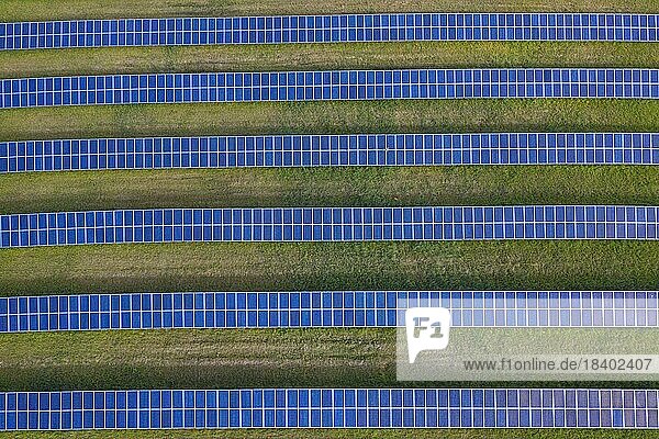 Aerial view over solar panels of photovoltaic power station  solar park for the supply of electricity  Mecklenburg-Vorpommern  Germany  Europe