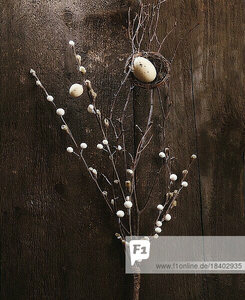 Ostermotiv  kleines Nest mit Ei in einem Zweig mit Blüten