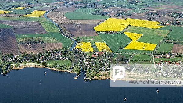 Aerial photograph of Lake Dümmer with reed zone  inland lake  aerial photograph  Lembruch  Lower Saxony  Germany  Europe