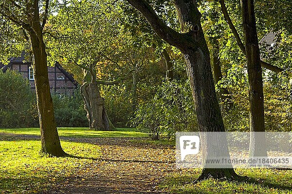 Herbststimmung im Park beim Schloss Schönebeck in Bremen Vegesack  Deutschland  Europa
