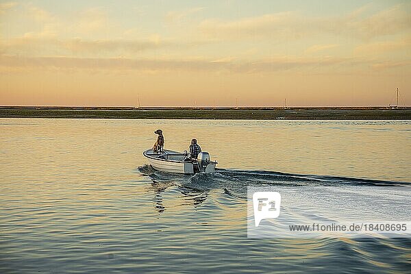 Ein Mann und ein Weimaranerhund auf dem Boot bei Sonnenaufgang auf der Ria Formosa  Faro  Algarve  Potugal