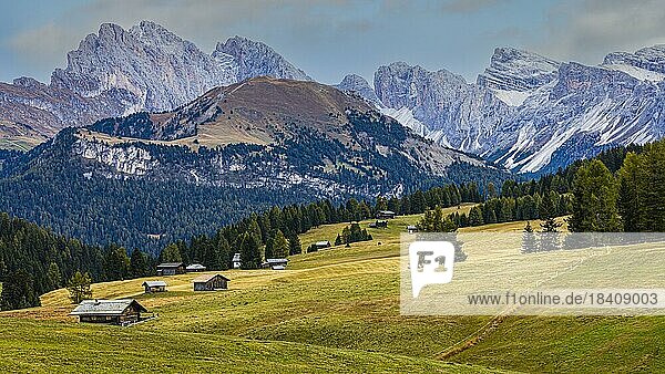 Herbstliche Almwiesen und Almhütten auf der Seiser Alm  hinten die schneebedeckten Gipfel der Geisler- und Puez-Gruppe  Grödnertal  Dolomiten  Südtirol  Italien  Europa