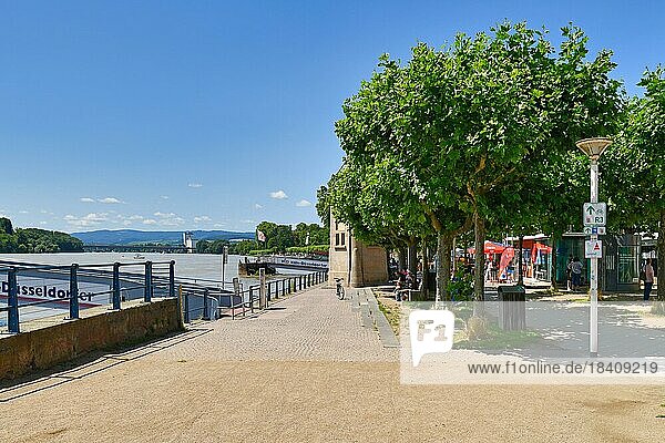 Wiesbaden  Germany  July 2021: Rhine river promenade with people on sunny day in Biebrich district of Wiesbaden  Europe