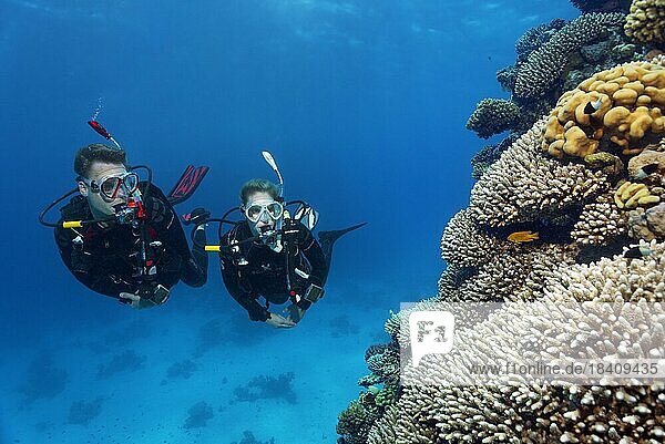 Taucher  Taucherin  Paar  zwei  betrachtet  betrachten intaktes Korallenriff  Rotes Meer  Hurghada  Ägypten  Afrika