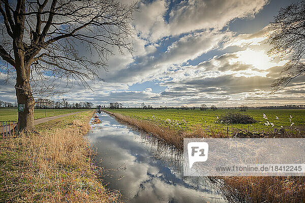Sonniger Februarnachmittag im Marschland in der Gemeinde Kollmoor im Kreis Steinburg. Der Wolkenhimmel spiegelt sich auf einem breien Wassergraben