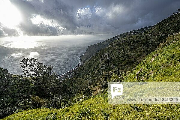 Abendstimmung  grüne Küstenlandschaft an Steilklippe  Meer und Küste  Aussichtspunkt Miradouro da Raposeira  Paul do Mar  Madeira  Portugal  Europa