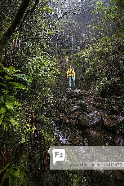 Wanderer steht im Wald vor Wasserfall am Vereda Francisco Achadinha  Rabacal  Madeira  Portugal  Europa