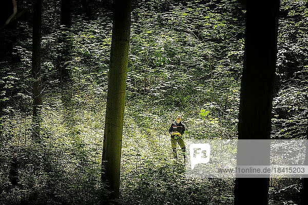 An employee of the Northwest German Forest Research Institute checks the stand of deciduous trees on an experimental plot in a deciduous forest in Lower Saxony. Here  research is being conducted into how the forest can be prepared for the challenges in times of climate change. Mackenrode  28.06.2022  Mackenrode  Germany  Europe