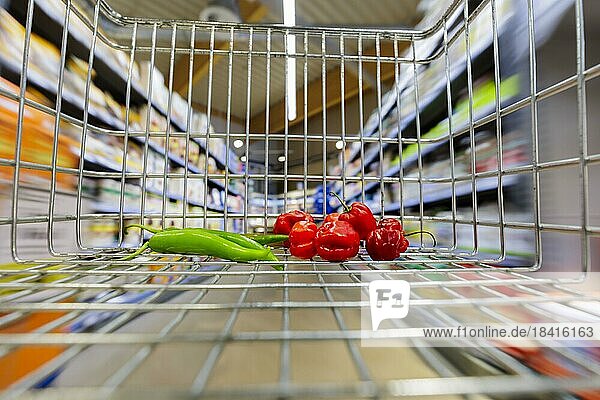 Einkaufwagen mit Gemüse in einem Supermarkt in Radevormwald  08.06.2022. Radevormwald  Deutschland  Europa