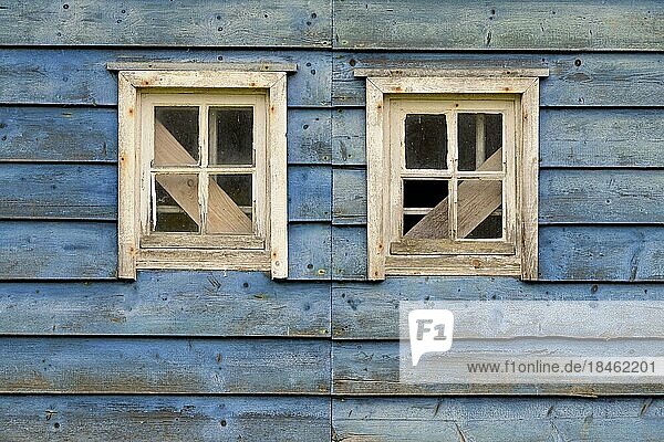 Verlassenes Holzhaus  blaue Bretterfassade mit weißen verbarrikadierten Fenstern  Nordrhein-Westfalen  Deutschland  Europa