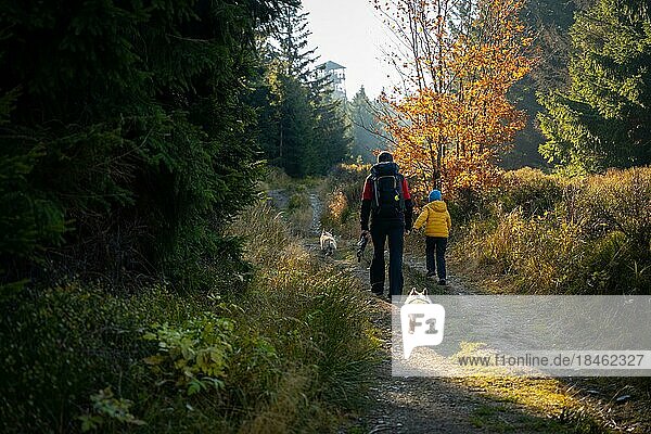 A mother with a child and a dog are walking along the mountain hiking trail. Family spending time. Polish mountains  Poland  Europe