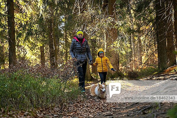 Eine Mutter mit einem Kind und einem Hund gehen auf einem Bergwanderweg spazieren. Familie verbringt Zeit. Polnische Berge  Polen  Europa
