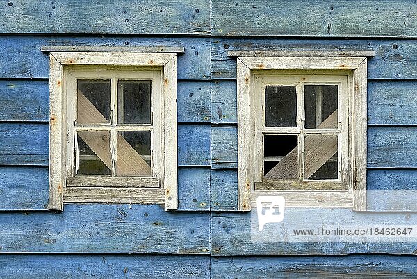 Verlassenes Holzhaus  blaue Bretterfassade mit weißen verbarrikadierten Fenstern  Nordrhein-Westfalen  Deutschland  Europa