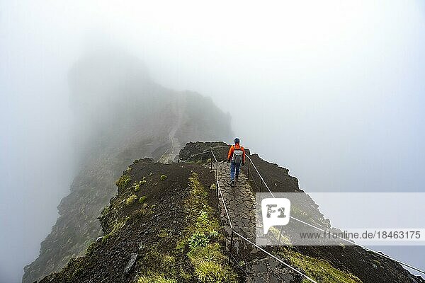 Hikers in the mist  Pico Arieiro to Pico Ruivo hike  narrow exposed trail on rocky cliff  Central Mountains of Madeira  Madeira  Portugal  Europe