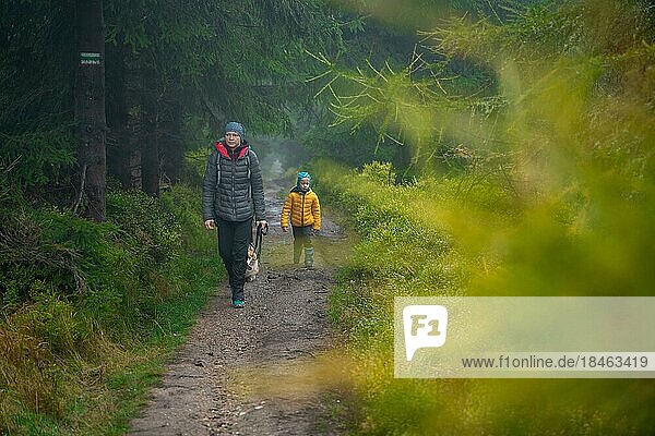 Mutter mit ihrem Sohn und Hunden gehen über Baumstämme  die an einem kleinen Bach liegen. Polnische Berge  Polen  Europa