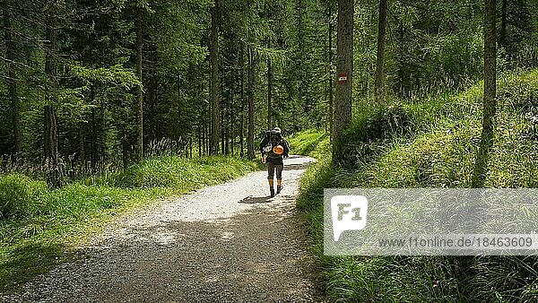 Return from the mountain trail through the forest. Dolomites  Italy  Dolomites  Italy  Europe