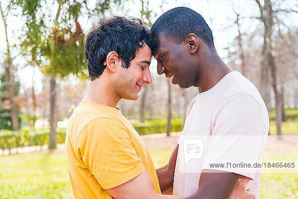Lgbt concept  couple of multi-ethnic men in a park in a romantic pose under a tree  with their foreheads closed