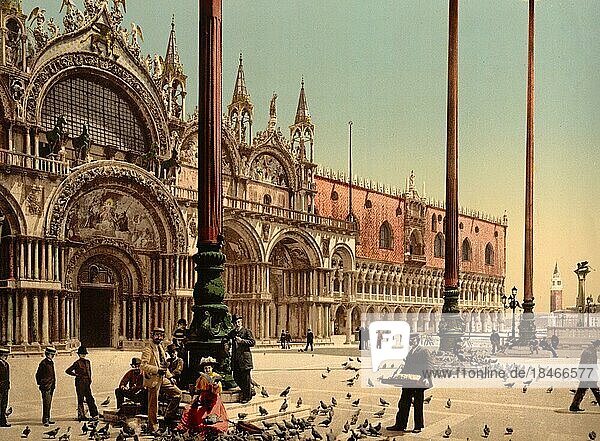 Pigeons in St Marks Square  1890  Venice  Italy  Historic  digitally restored reproduction from an 18th or 19th century original  Europe