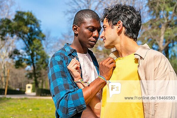 Multiethnisches schwules männliches Paar bei einem romantischen Spaziergang im Park  lgbt Konzept
