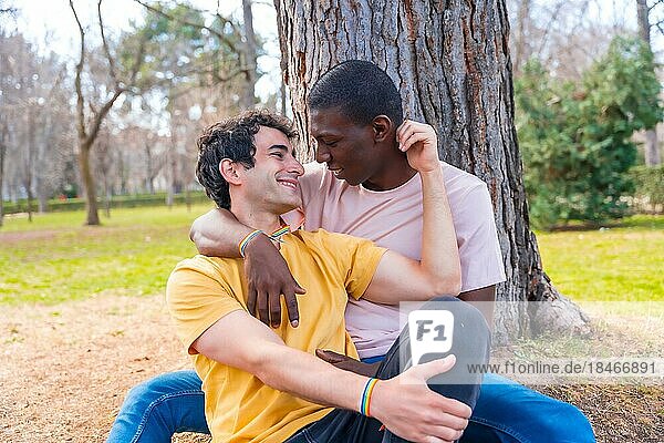 Paar multiethnische Männer in einem Park  lgbt Konzept  sitzen zusammen einen Baum in einer romantischen Pose