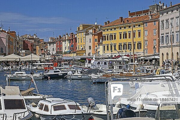 Fishing boats and sailing boats in the the harbour of the city Rovinj  Rovigno  seaside resort along the north Adriatic Sea  Istria County  Croatia  Europe