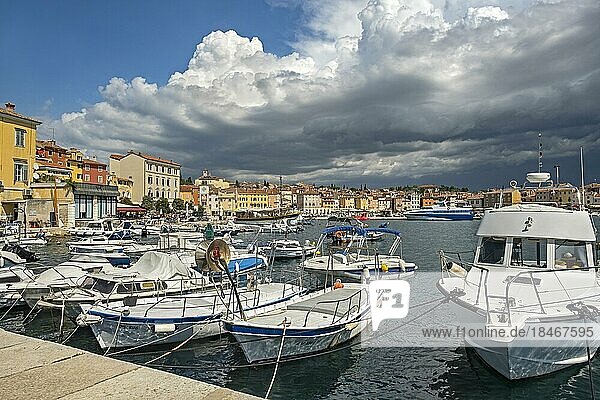 Fischerboote im Hafen der Stadt Rovinj  Rovigno  Badeort an der nördlichen Adria  Gespanschaft Istrien  Kroatien  Europa