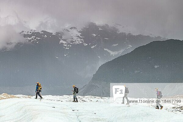 Hikers on the Exploradores glacier in the San Valentin massif  Laguna San Rafael National Park  Puerto Rio Tranquilo  Aysen  Patagonia  Chile  South America