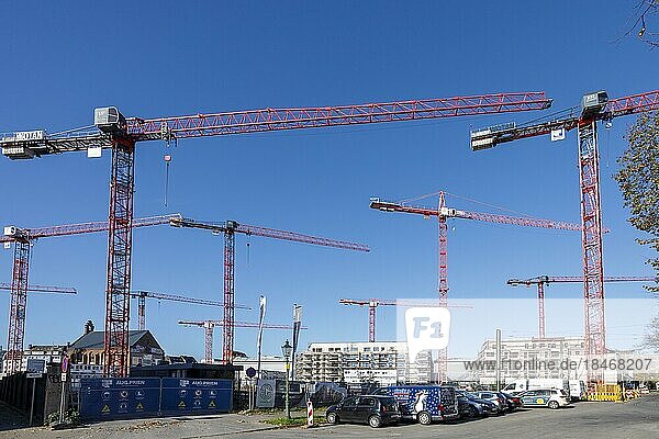 Large construction site with many cranes in Düsseldorf-Derendorf  Stadtquartier maxfrei  Düsseldorf  North Rhine-Westphalia  Germany  Europe