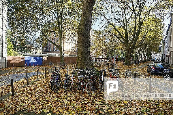 Fahrradstellplatz im Herbstlaub  Wohngebiet  Hinterhöfe  Düsseldorf  Nordrhein-Westfalen  Deutschland  Europa