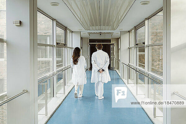 Full length rear view of male and female doctors discussing while walking together in hospital corridor