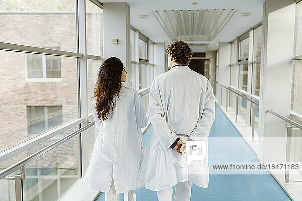 Rear view of male and female doctors discussing while walking together in hospital corridor