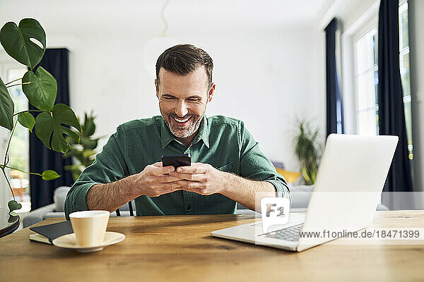 Smiling working from home sitting at desk using smartphone