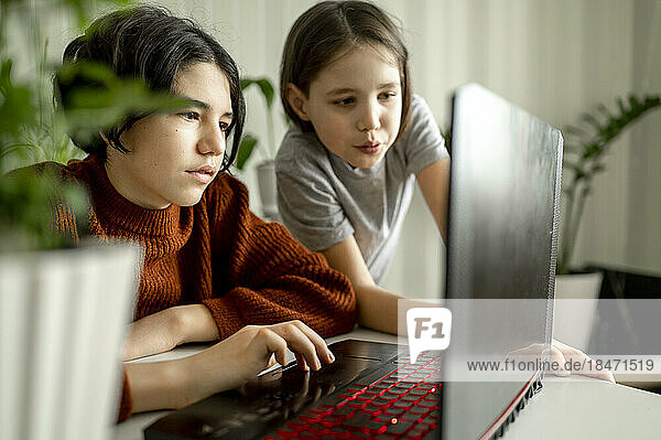 Boys sharing laptop at home
