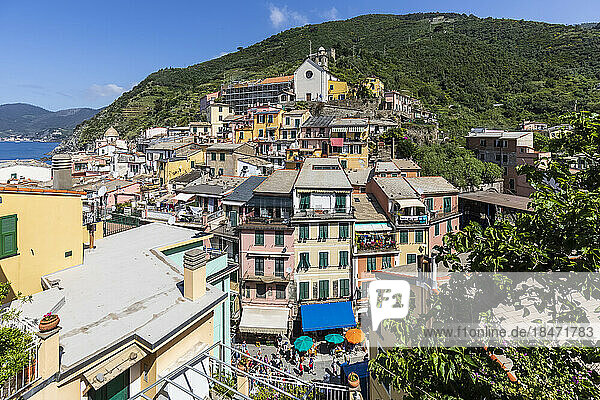 Italy  Liguria  Vernazza  Coastal town along Cinque Terre in summer