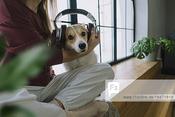 Frau setzt Hund zu Hause kabellose Kopfhörer auf den Kopf