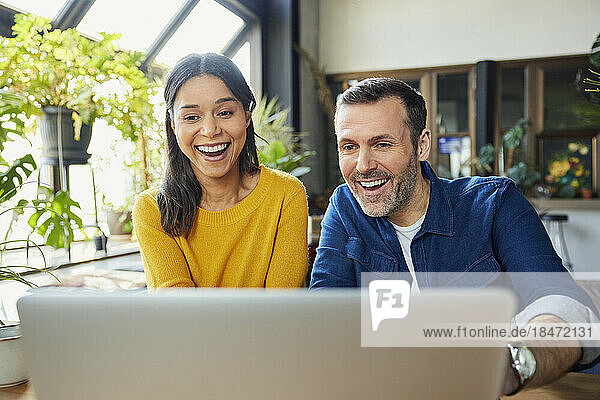 Zufriedene Geschäftskollegen genießen es  im Loft-Büro Laptop zu schauen