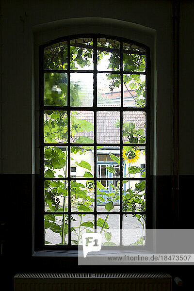 Deutschland  Brandenburg  Potsdam  Gebäude im Sommer durch ein verglastes Fenster gesehen