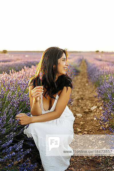Happy young woman crouching in lavender field
