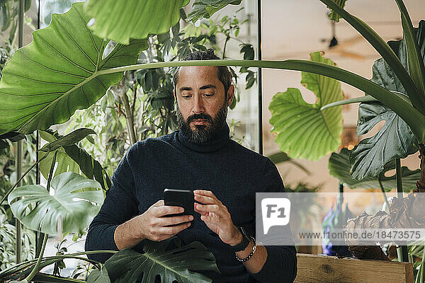 Mature man using smart phone amidst plants