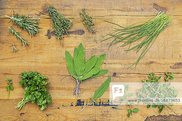 Fresh green herbs on wooden table