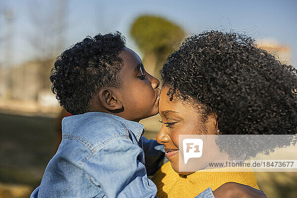 Junge küsst Mutter im Park auf die Stirn