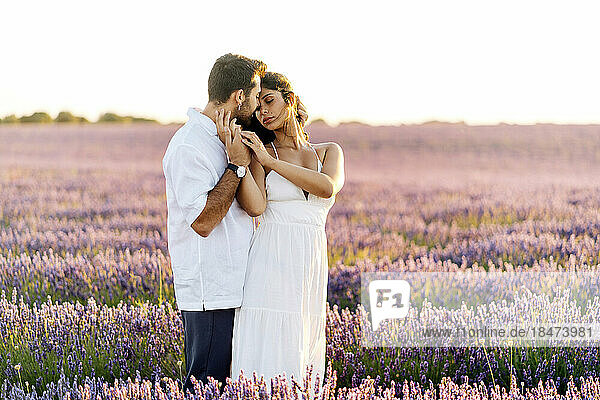 Man embracing woman at sunset in lavender field