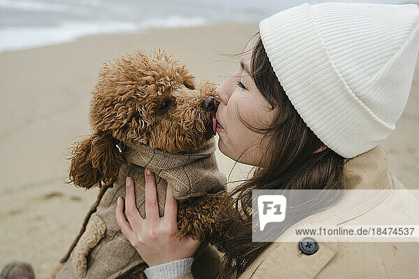 Maltipoo-Hund leckt Gesicht einer Frau mit Strickmütze am Strand