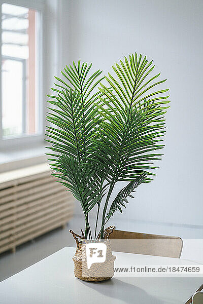 Artificial potted plant on table at the window