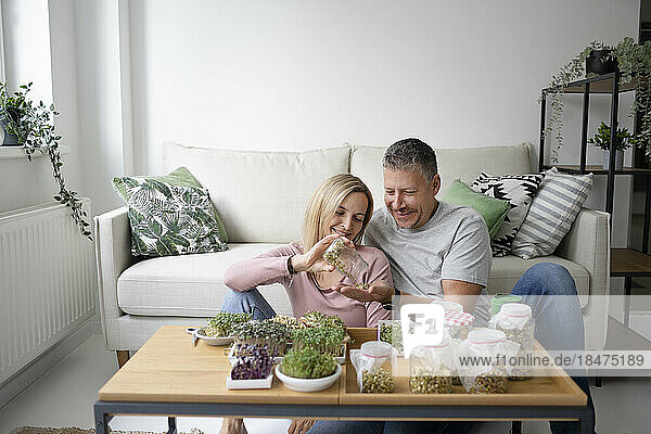 Smiling woman giving home grown sprouts to man at home