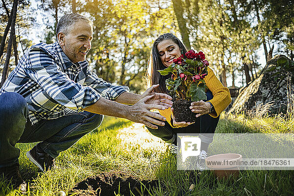 Happy mature couple planting flower in natural garden