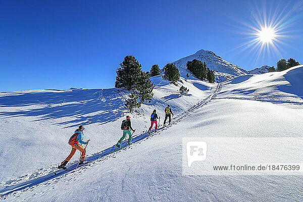 Austria  Tyrol  Group of skiers traveling in row across Grosser Galtenberg